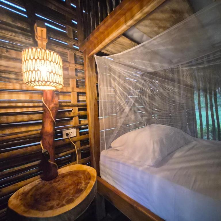 Dos Peladas Hostal - Bed in 4-Bed Dormitory Room - 11