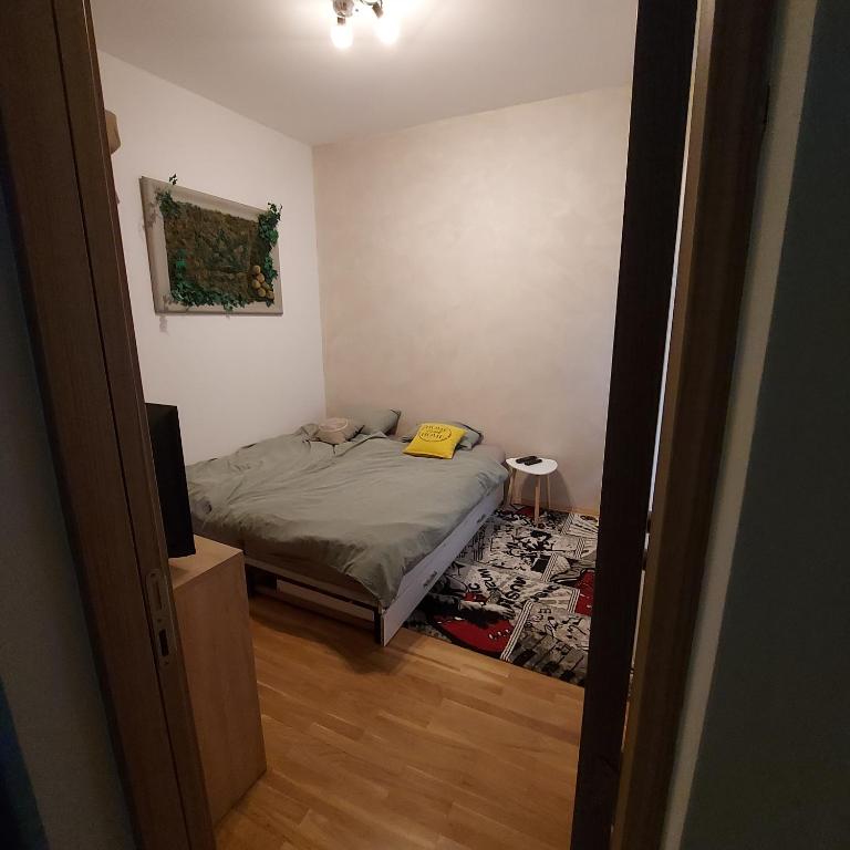 Centrocentro with balcony - Apartman sa 1 Spavaćom Sobom - 17