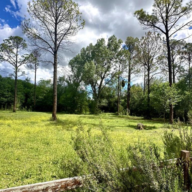 Casa de campo rodeada de naturaleza con pileta - Two-Bedroom House - 8
