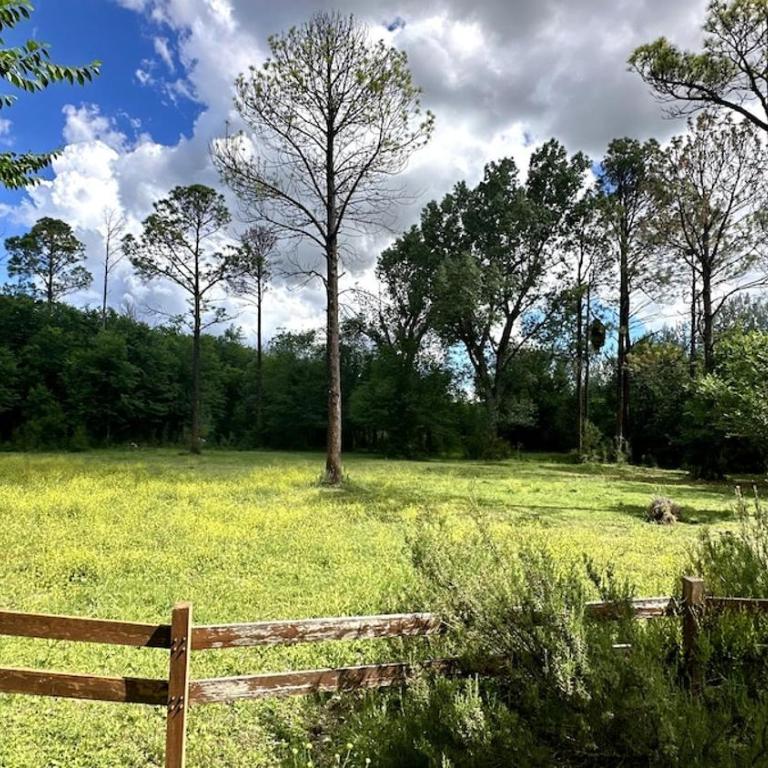 Casa de campo rodeada de naturaleza con pileta - Casa de 2 dormitorios - 13