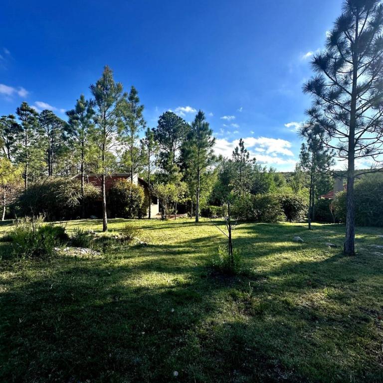 Casa de campo en la naturaleza con pileta - Casa con 1 dormitorio - 2