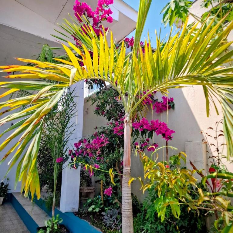 Suite privada con jardín cerca del mar - Apartamento de 1 dormitorio - 5