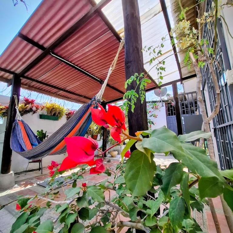 Suite privada con jardín cerca del mar - Apartamento de 1 dormitorio - 6