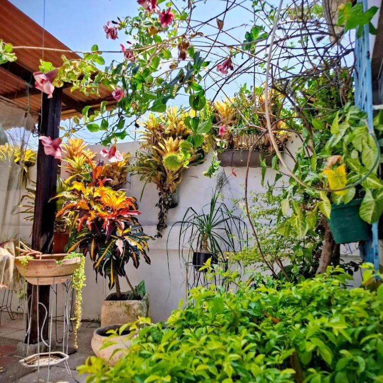 Suite privada con jardín cerca del mar - Apartamento de 1 dormitorio - 7