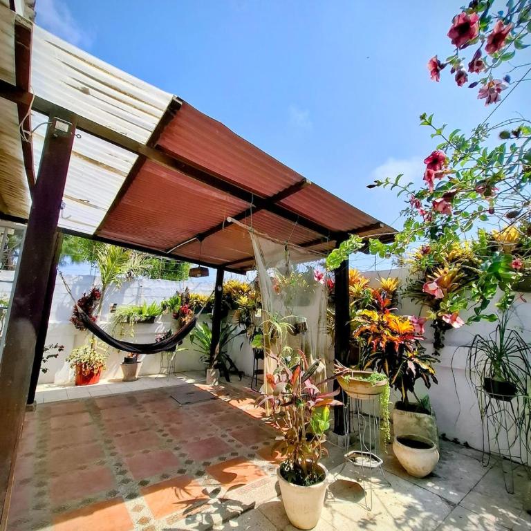 Suite privada con jardín cerca del mar - Apartamento de 1 dormitorio - 13