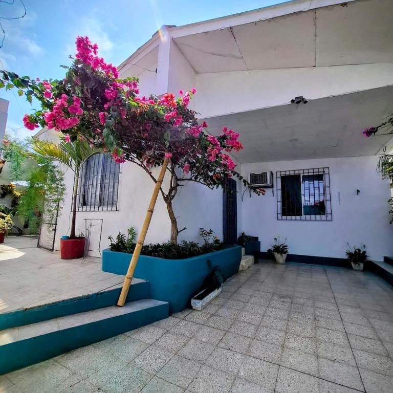 Suite privada con jardín cerca del mar - Apartamento de 1 dormitorio - 19