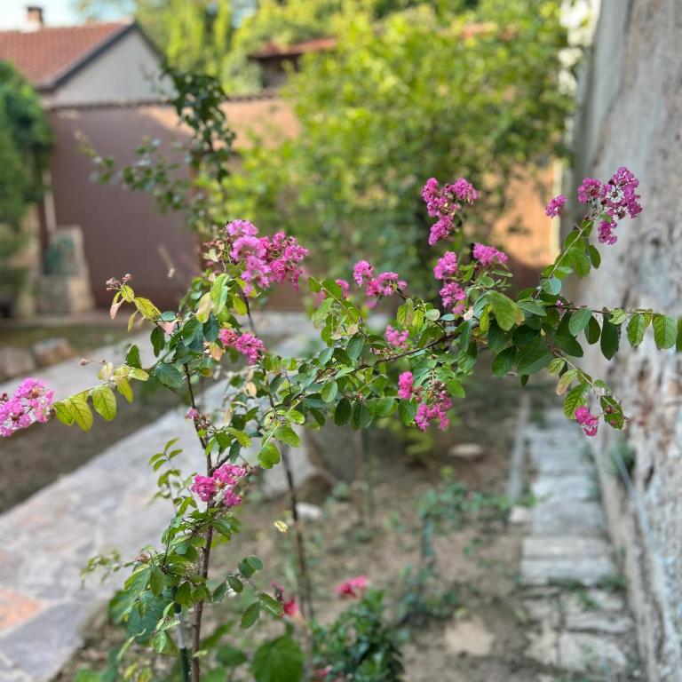 Apartman Stone Garden 2 - One-Bedroom Apartment - 5