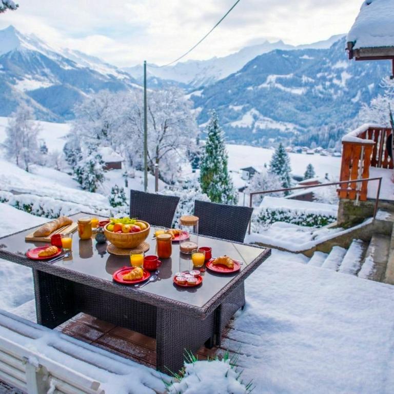 Studio loft avec sauna & terrasses alpines - Studio mit Terrasse - 17