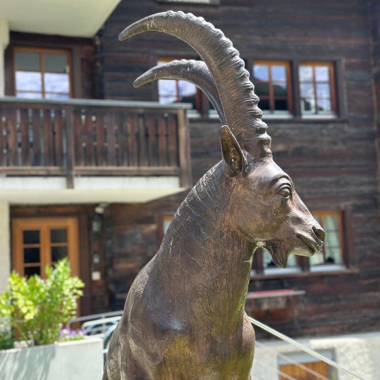Tiny House IBEX - Apartment mit 1 Schlafzimmer - 53