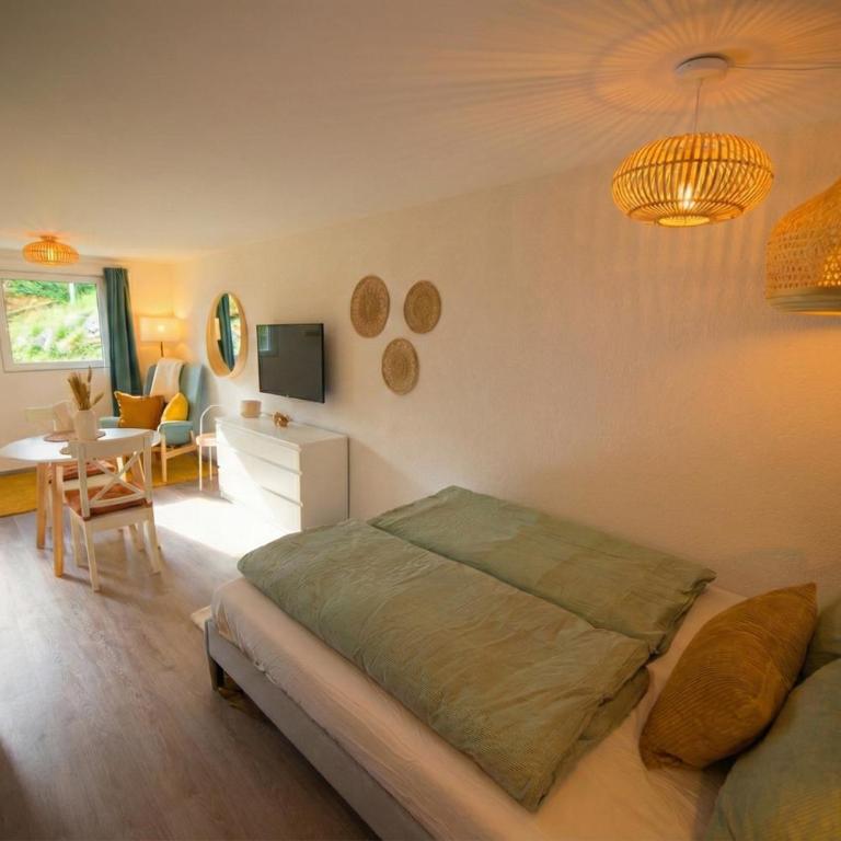Studio loft avec sauna & terrasses alpines - Studio mit Terrasse - 6