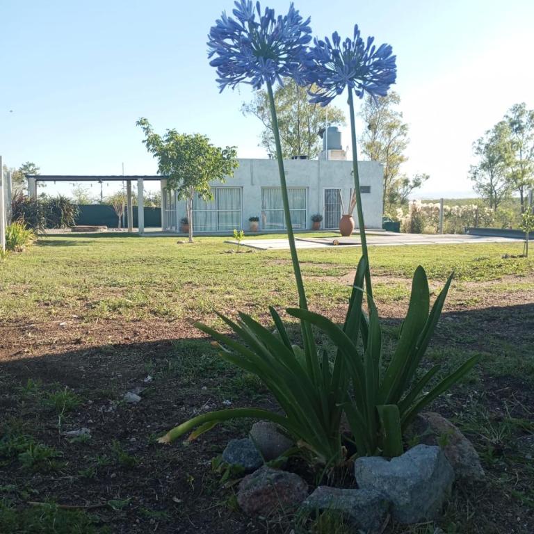 Biale Masse Casa de Montaña - Two-Bedroom House - 13