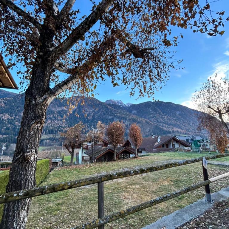 IL PINO CEMBRO Apartment Val di Sole - Appartamento con 1 Camera da Letto - 15