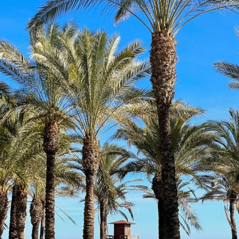 Beach Studio - Costa del Sol Torremolinos - Apartamento de 1 dormitorio - 15