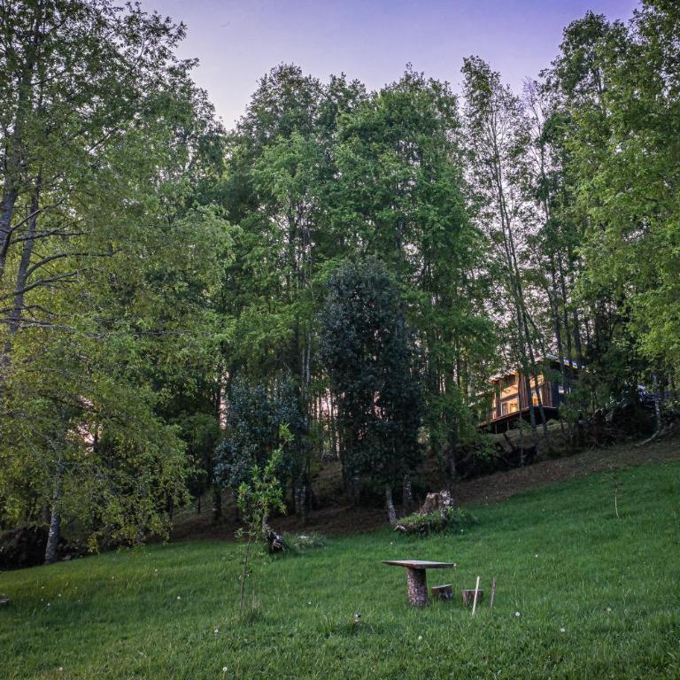 Casa en el Bosque Futrono - Three-Bedroom Chalet - 5