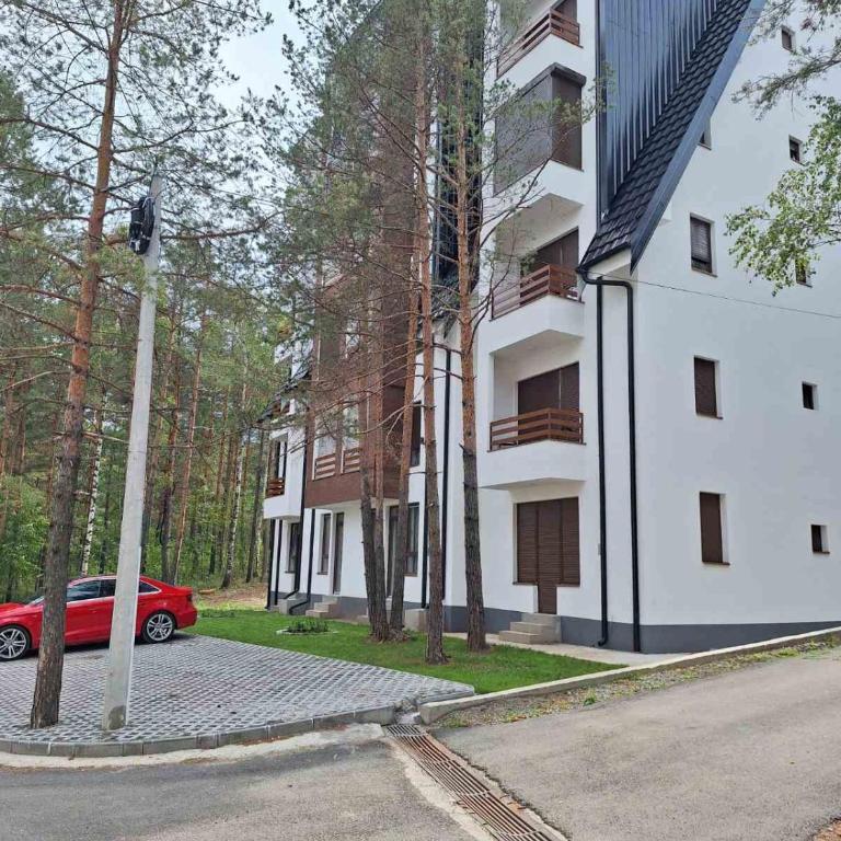 Pino Silvestre Divčibare - Apartman sa 1 Spavaćom Sobom - 4