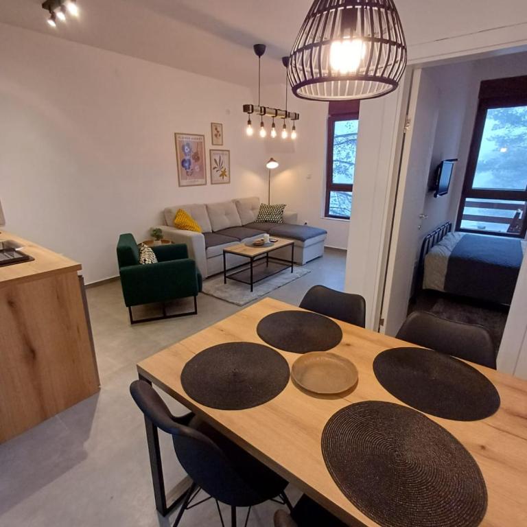 Pino Silvestre Divčibare - Apartman sa 1 Spavaćom Sobom - 11