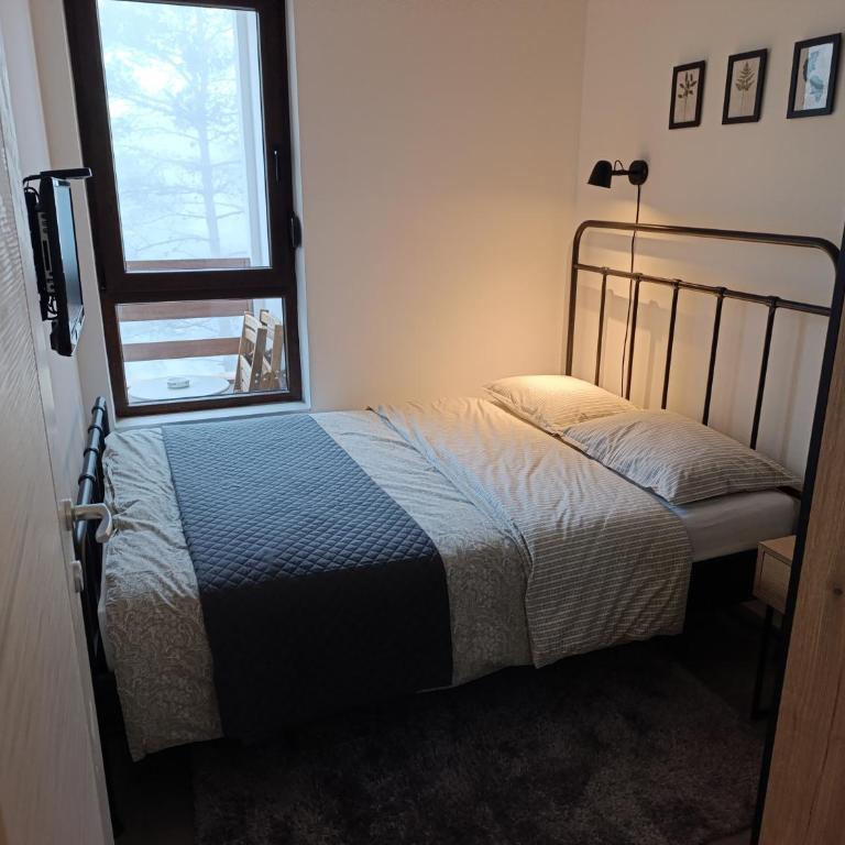 Pino Silvestre Divčibare - Apartman sa 1 Spavaćom Sobom - 13
