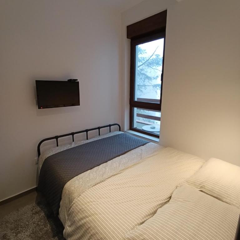 Pino Silvestre Divčibare - Apartman sa 1 Spavaćom Sobom - 21
