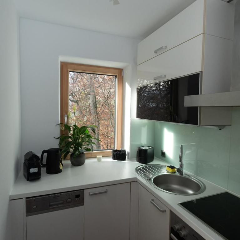 Kerschbuchhof Apartment - Appartamento con 2 Camere da Letto - 8