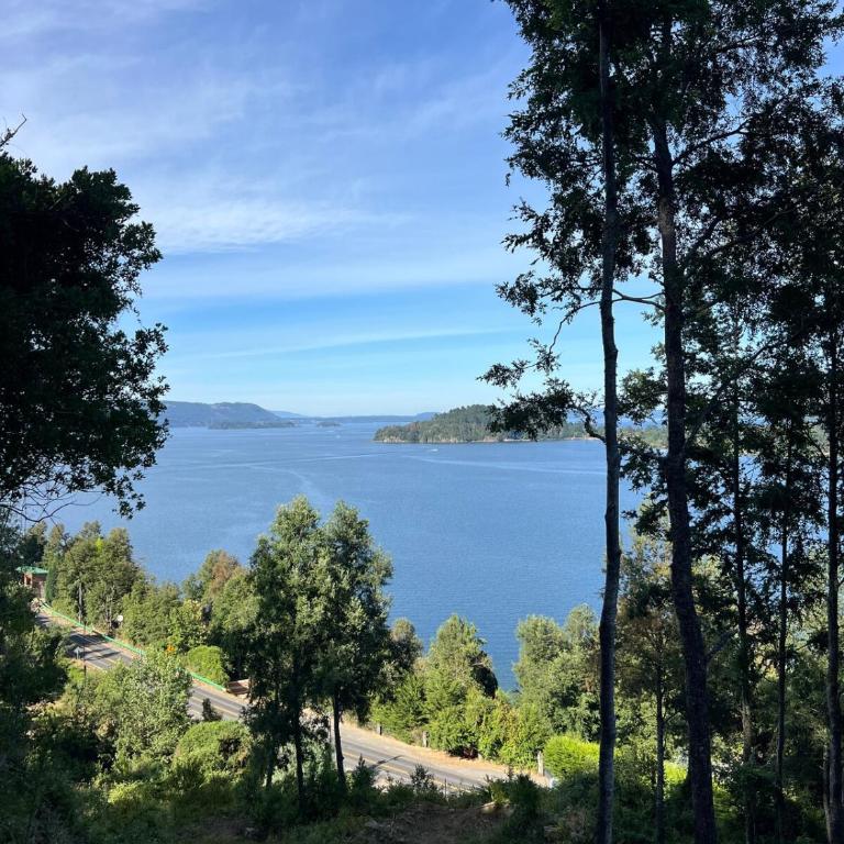 Amazing house with a lake view - One-Bedroom House - 14