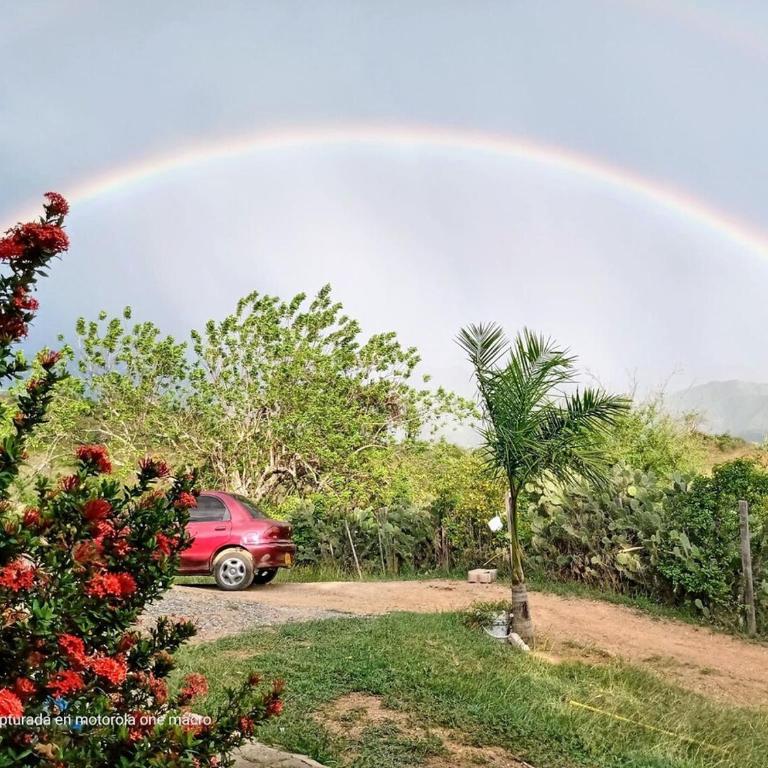 Country cabin Horseback riding service - Casa con 1 dormitorio - 8