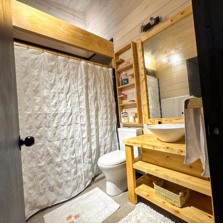 Casa en el Bosque Futrono - Three-Bedroom Chalet - 10