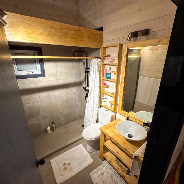 Casa en el Bosque Futrono - Three-Bedroom Chalet - 29