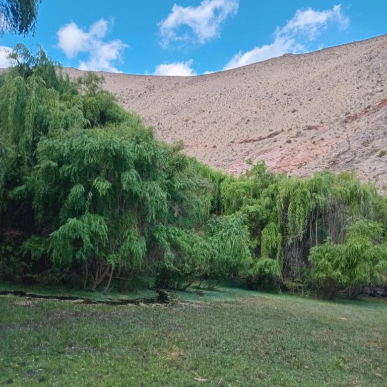 Cabañas Los Sauzales del Elqui - Two-Bedroom House - 21