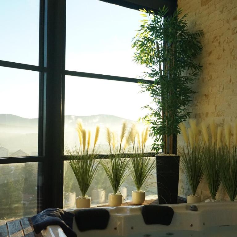 Sky Spa Penthouse Suite with Hot Tub Zlatibor - Suite with Mountain View - 1