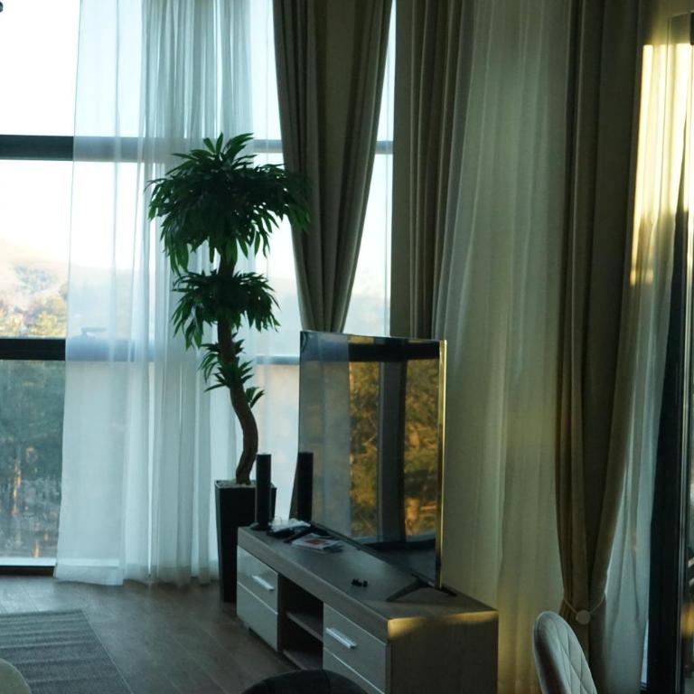Sky Spa Penthouse Suite with Hot Tub Zlatibor - Suite with Mountain View - 23