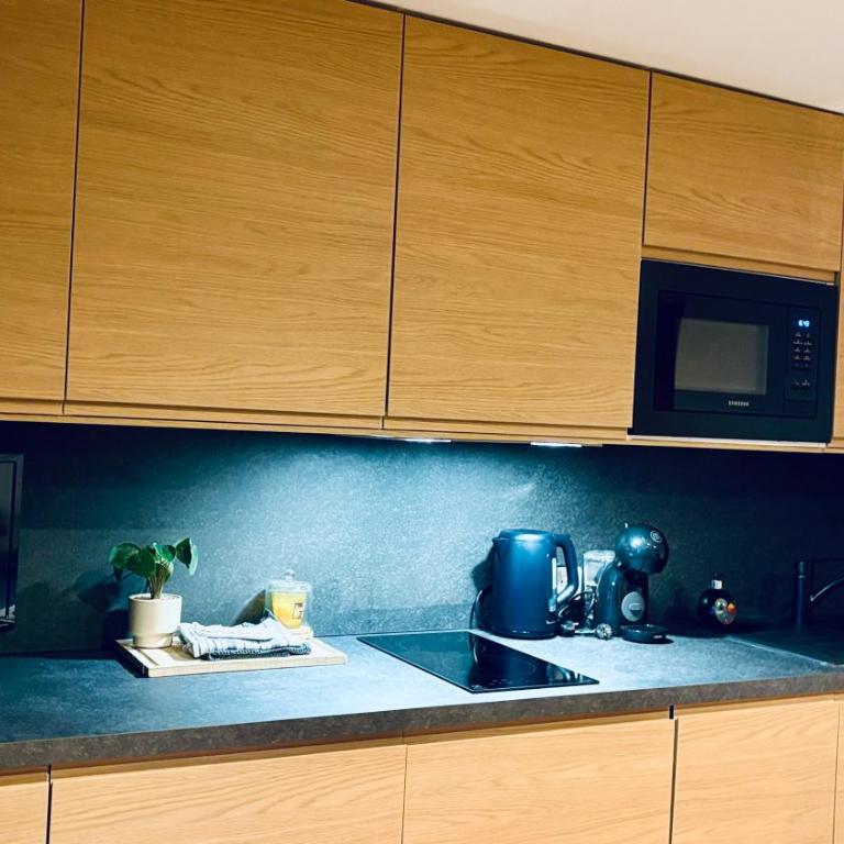 Ski ou Thermes? Un appt cabine avec vue magnifique - Appartement 1 Chambre - 33