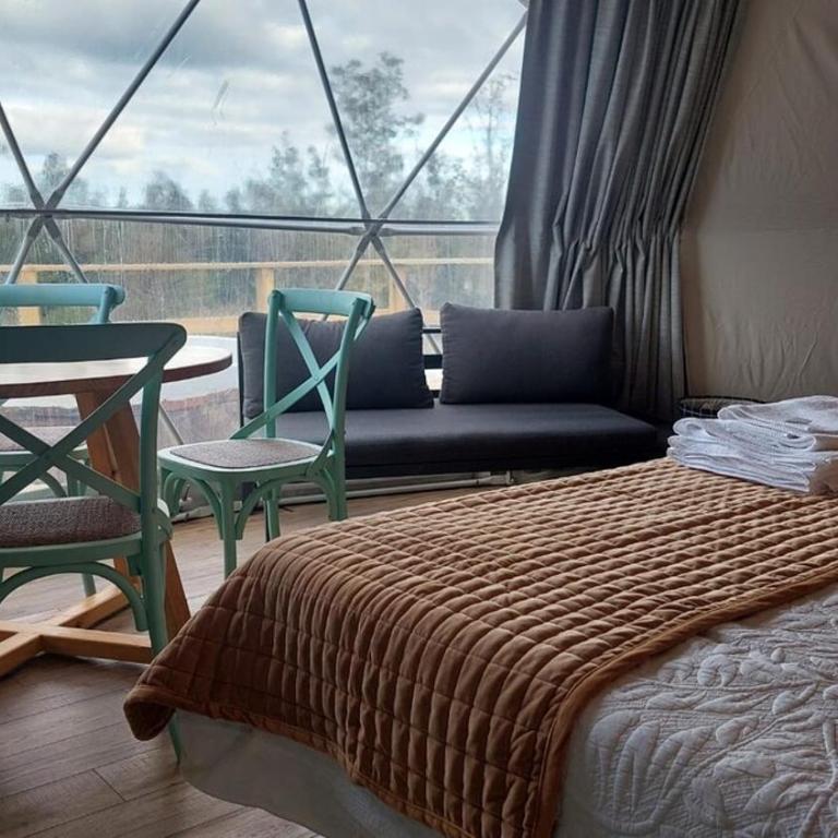 Refuge from much - One-Bedroom Apartment - 8