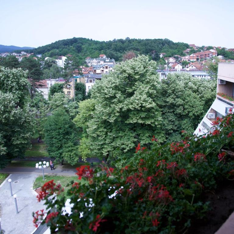 Medical and Spa Centre Merkur - Ekskluzivna Dvokrevetna Soba sa Bračnim Krevetom - 2