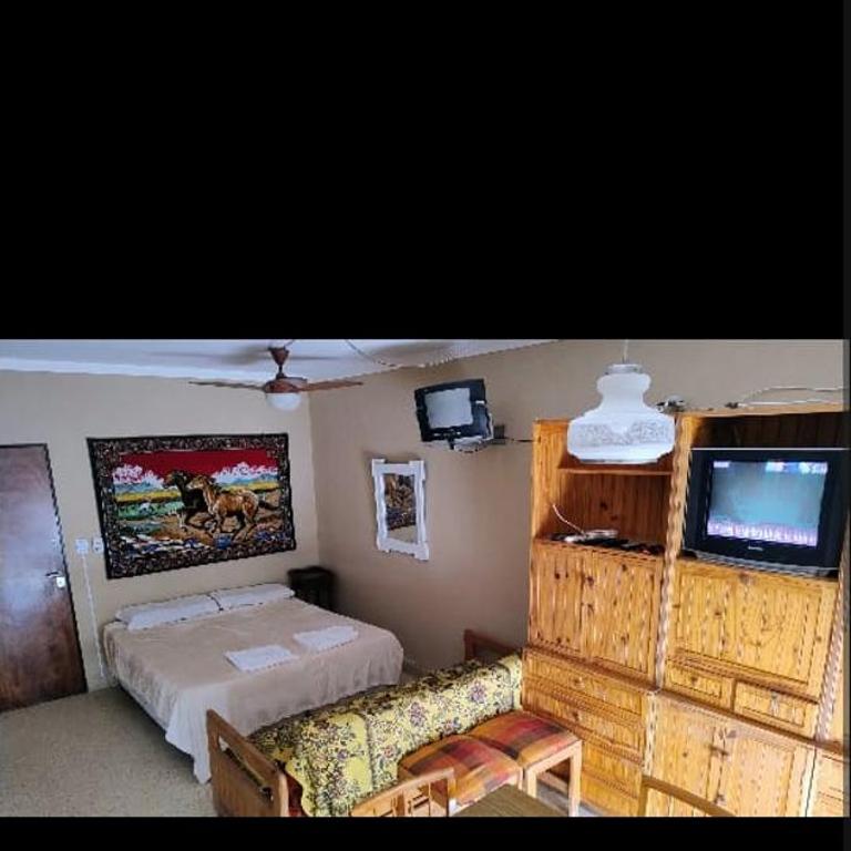 Departamento centrico - Apartamento de 1 dormitorio - 5