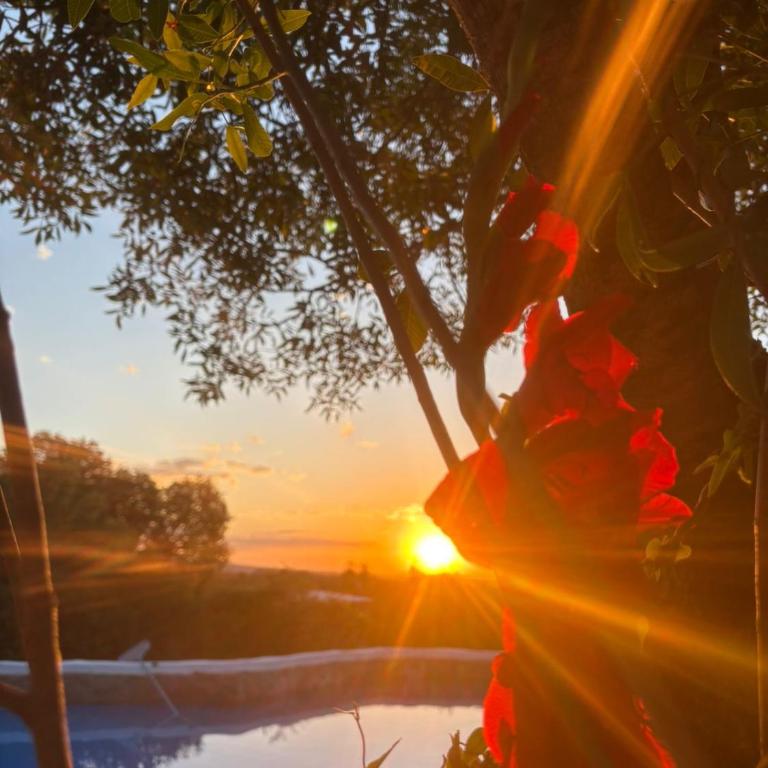 Pachamama cabañas en la montaña - Casa de 2 dormitorios - 8