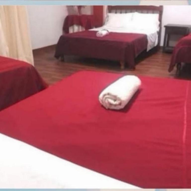 Hotel Conquistadores Inn - Habitación Familiar con vistas al jardín - 1