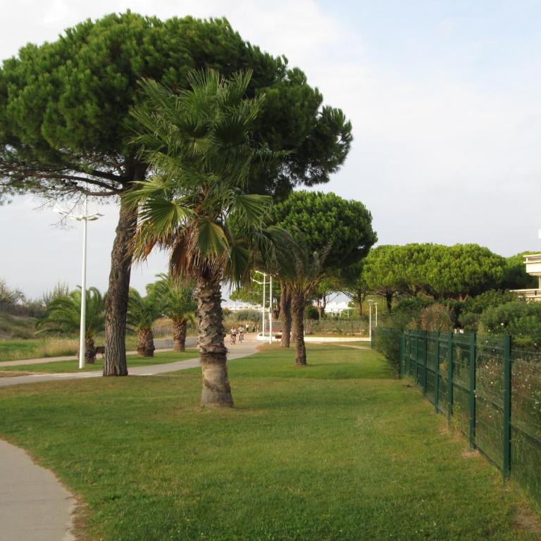 Le serpent de mer - Studio-Apartment - 17