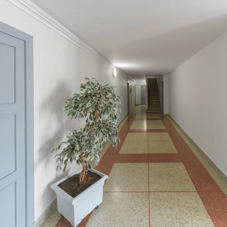 Le Dome - Appartement Cosy en centre ville avec parking - Appartamento con 1 Camera da Letto - 29