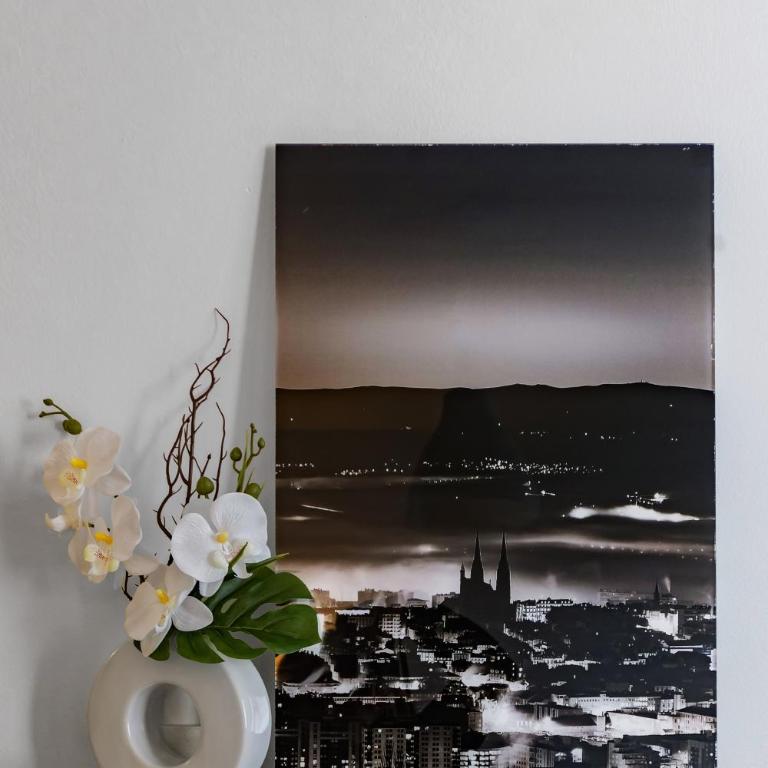 Le Dome - Appartement Cosy en centre ville avec parking - Appartamento con 1 Camera da Letto - 27