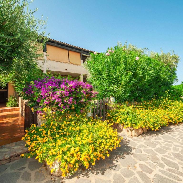 Apartment 4 beds in Marinella just 250 mt from the beach - Appartamento con 1 Camera da Letto - 6