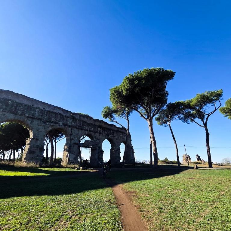 Radiant Home by the Aqueducts, Rome - Appartamento con 1 Camera da Letto - 13