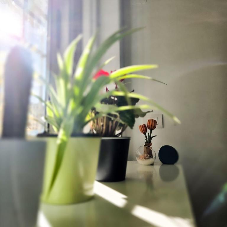 Radiant Home by the Aqueducts, Rome - Appartamento con 1 Camera da Letto - 19
