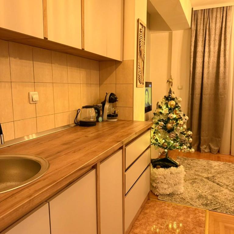 Alexa Apartmani - Apartman sa 1 Spavaćom Sobom - 5