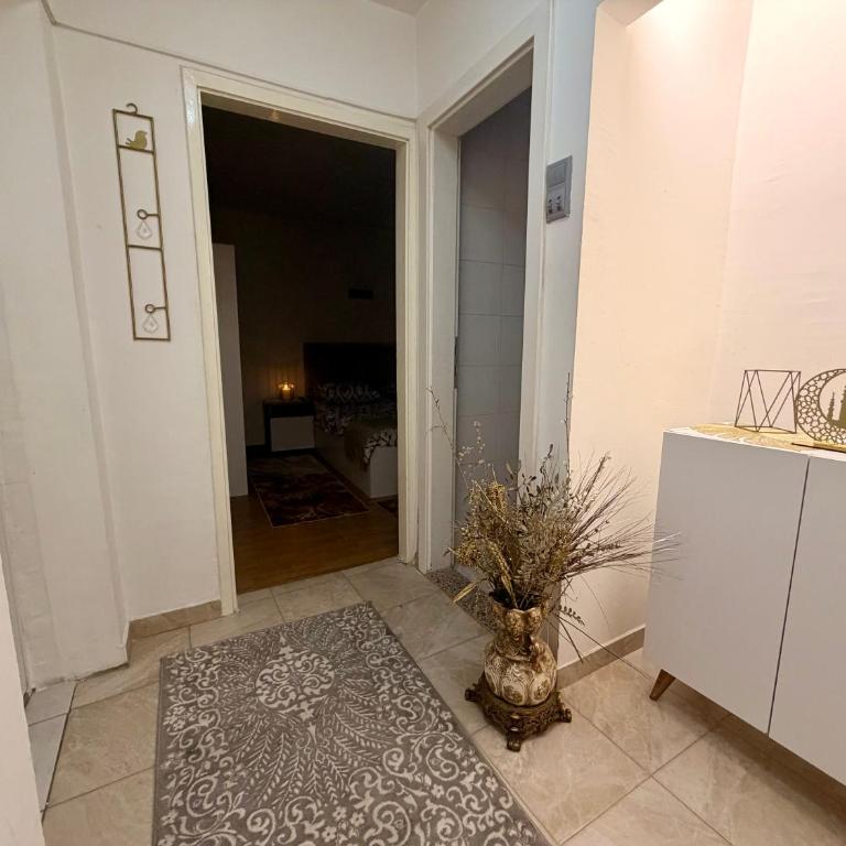 Apartman Dacha - Premier Apartman sa 1 Spavaćom Sobom - 13