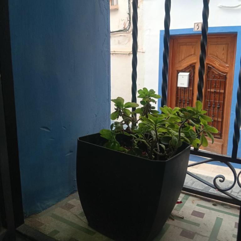 Casa en el centro del pueblo de Finestrat - Apartamento de 1 dormitorio - 17