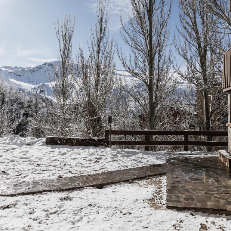 Le Cabane - Apartamento de 1 dormitorio - 78