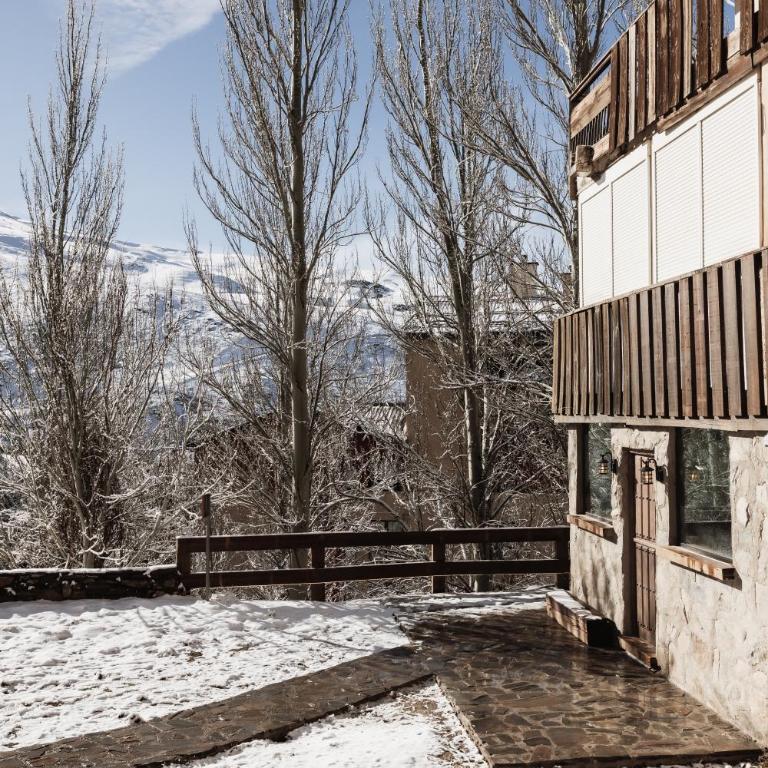 Le Cabane - Apartamento de 1 dormitorio - 82