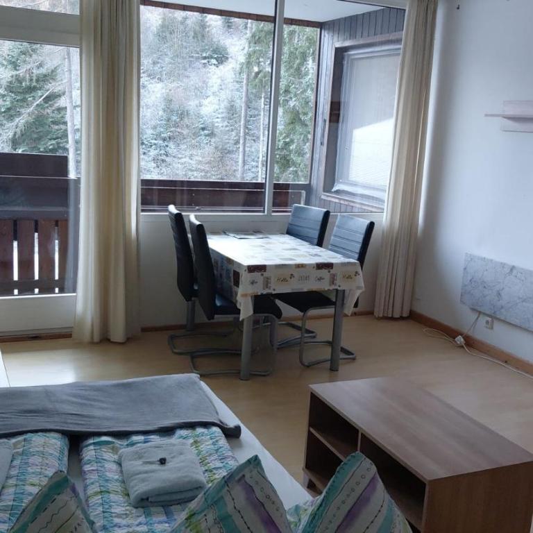 Ferienwohnung Pichlarn - Apartamento de 1 dormitorio con balcón - 3