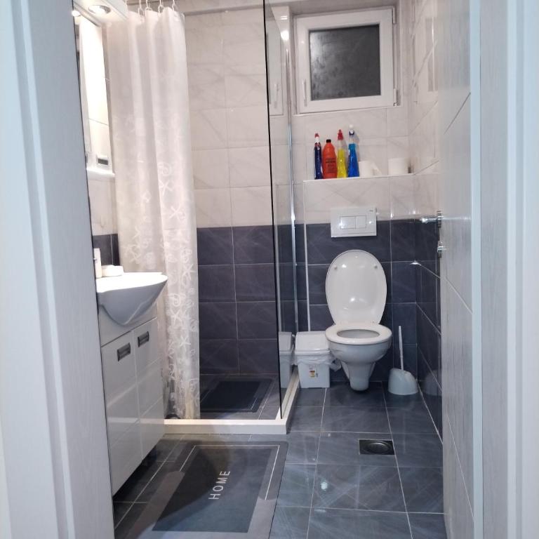 Apartman Ristic Vrnjacka banja - Apartman sa 1 Spavaćom Sobom - 9