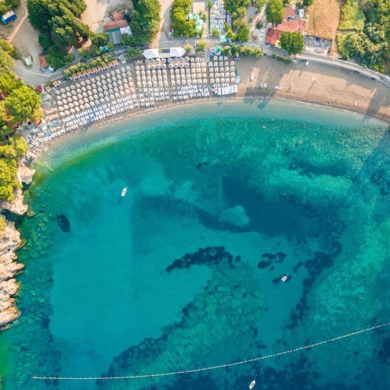 LUCA boutique studio - Petrovac - One-Bedroom Apartment - 16